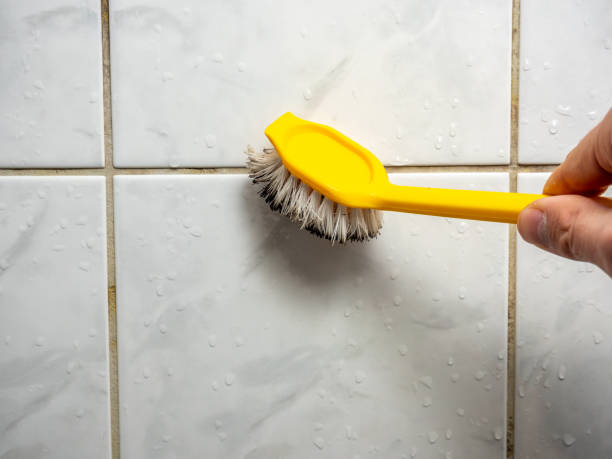Best Local Mold Removal Service  in Winthrop Harbor, IL